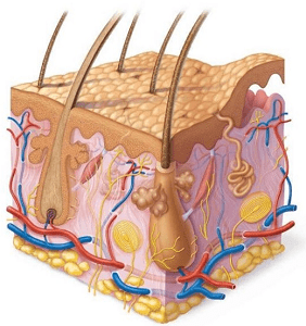 image-306793-ipiresies2.png